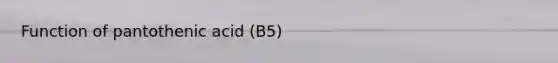 Function of pantothenic acid (B5)