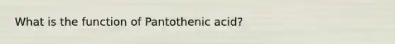 What is the function of Pantothenic acid?