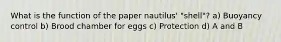 What is the function of the paper nautilus' "shell"? a) Buoyancy control b) Brood chamber for eggs c) Protection d) A and B