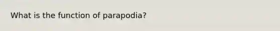 What is the function of parapodia?