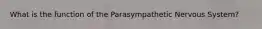 What is the function of the Parasympathetic Nervous System?