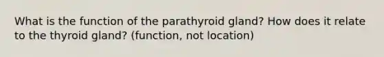 What is the function of the parathyroid gland? How does it relate to the thyroid gland? (function, not location)