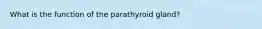 What is the function of the parathyroid gland?