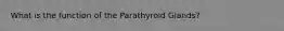 What is the function of the Parathyroid Glands?