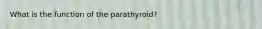 What is the function of the parathyroid?