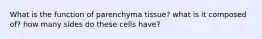 What is the function of parenchyma tissue? what is it composed of? how many sides do these cells have?