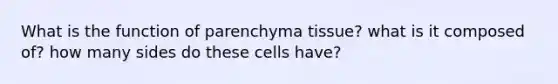 What is the function of parenchyma tissue? what is it composed of? how many sides do these cells have?