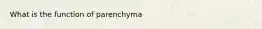 What is the function of parenchyma