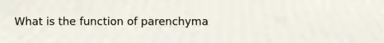 What is the function of parenchyma