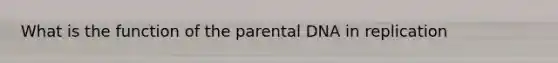 What is the function of the parental DNA in replication