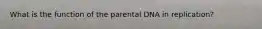 What is the function of the parental DNA in replication?