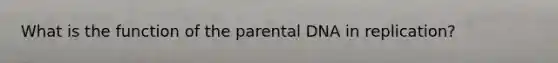 What is the function of the parental DNA in replication?