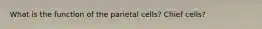 What is the function of the parietal cells? Chief cells?