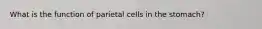 What is the function of parietal cells in the stomach?