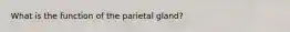 What is the function of the parietal gland?