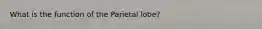 What is the function of the Parietal lobe?