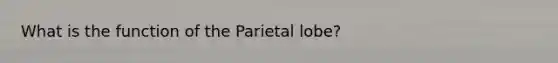 What is the function of the Parietal lobe?