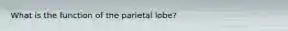 What is the function of the parietal lobe?