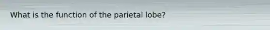 What is the function of the parietal lobe?