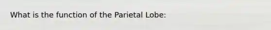 What is the function of the Parietal Lobe: