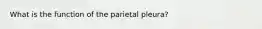 What is the function of the parietal pleura?