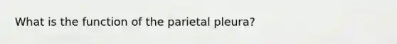 What is the function of the parietal pleura?