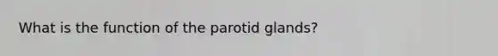 What is the function of the parotid glands?