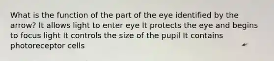 What is the function of the part of the eye identified by the arrow? It allows light to enter eye It protects the eye and begins to focus light It controls the size of the pupil It contains photoreceptor cells