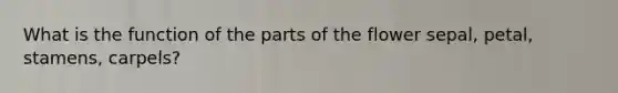 What is the function of the parts of the flower sepal, petal, stamens, carpels?