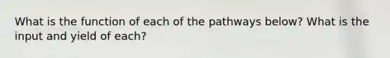 What is the function of each of the pathways below? What is the input and yield of each?