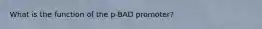 What is the function of the p-BAD promoter?