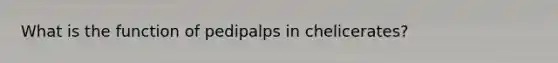 What is the function of pedipalps in chelicerates?