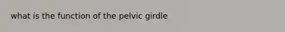 what is the function of the pelvic girdle