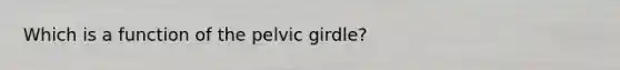 Which is a function of the pelvic girdle?