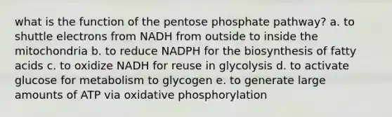 what is the function of the pentose phosphate pathway? a. to shuttle electrons from NADH from outside to inside the mitochondria b. to reduce NADPH for the biosynthesis of fatty acids c. to oxidize NADH for reuse in glycolysis d. to activate glucose for metabolism to glycogen e. to generate large amounts of ATP via oxidative phosphorylation