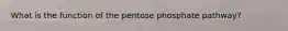 What is the function of the pentose phosphate pathway?