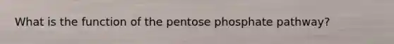 What is the function of the pentose phosphate pathway?