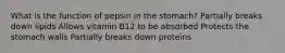 What is the function of pepsin in the stomach? Partially breaks down lipids Allows vitamin B12 to be absorbed Protects the stomach walls Partially breaks down proteins