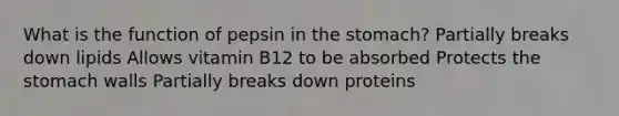 What is the function of pepsin in the stomach? Partially breaks down lipids Allows vitamin B12 to be absorbed Protects the stomach walls Partially breaks down proteins