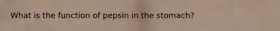 What is the function of pepsin in <a href='https://www.questionai.com/knowledge/kLccSGjkt8-the-stomach' class='anchor-knowledge'>the stomach</a>?