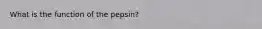 What is the function of the pepsin?