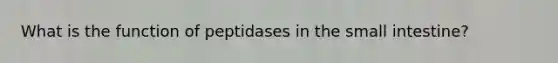 What is the function of peptidases in <a href='https://www.questionai.com/knowledge/kt623fh5xn-the-small-intestine' class='anchor-knowledge'>the small intestine</a>?