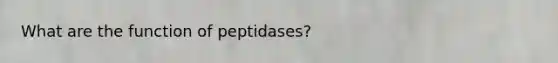 What are the function of peptidases?