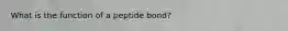 What is the function of a peptide bond?