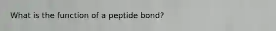 What is the function of a peptide bond?