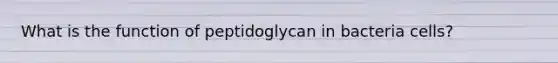 What is the function of peptidoglycan in bacteria cells?