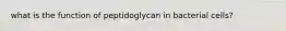 what is the function of peptidoglycan in bacterial cells?