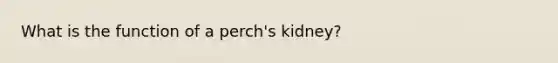 What is the function of a perch's kidney?