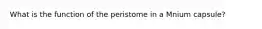 What is the function of the peristome in a Mnium capsule?