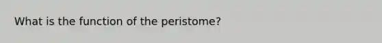 What is the function of the peristome?